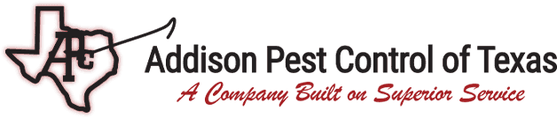 Addison Pest Control of Texas